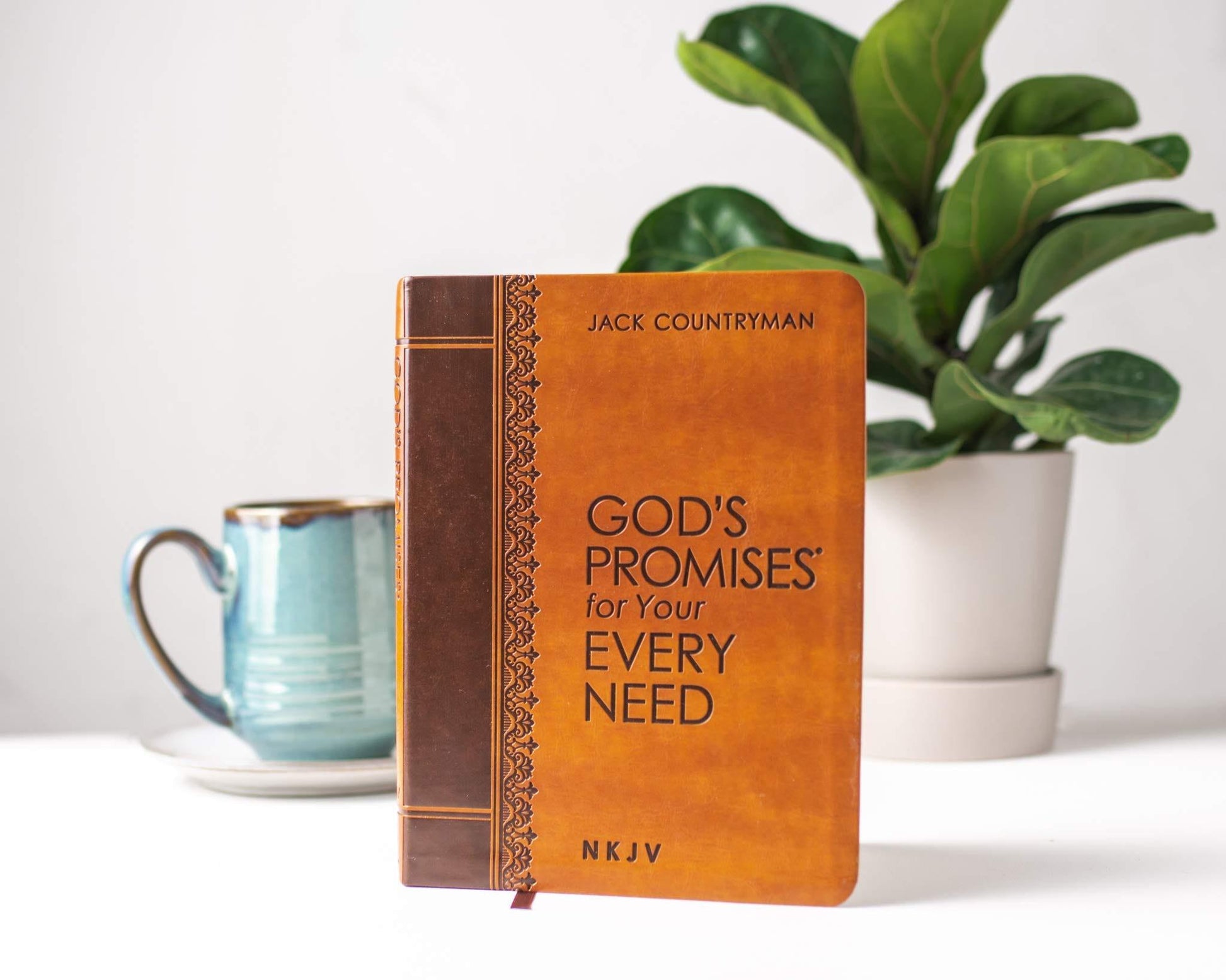 God's Promises for Your Every Need NKJV - Pura Vida Books