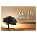 Godly Wisdom Faithbuilders - Pura Vida Books
