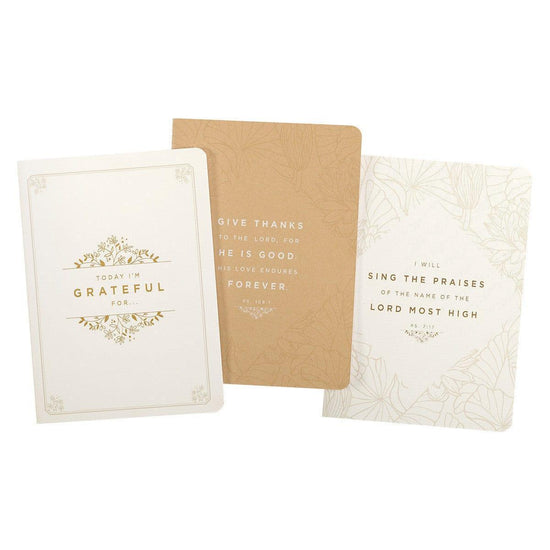 Gratitude White and Gold Large Prompted Notebook Set - Pura Vida Books