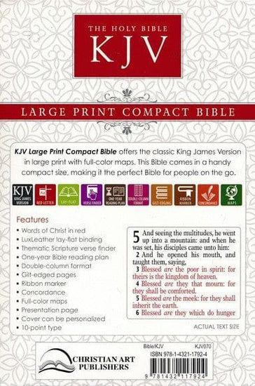 Holy Bible KJV (Turquesa) - Pura Vida Books