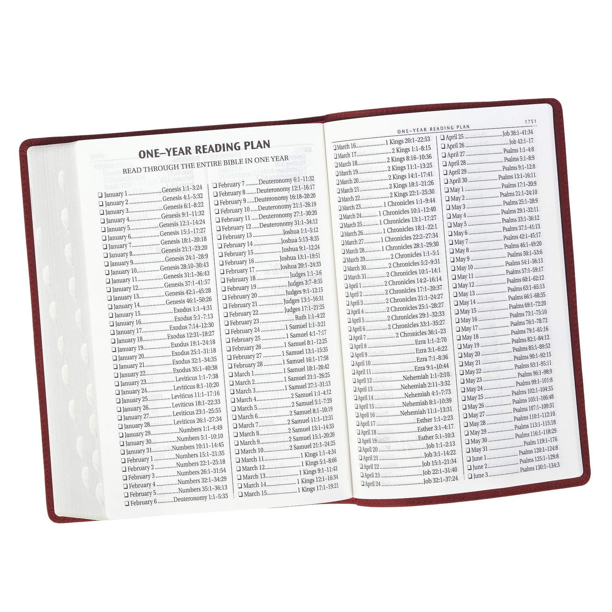 Holy Bible Super Giant (Red) - Pura Vida Books