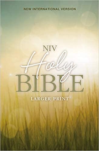 Holy Biblie Nvi large Print - Pura Vida Books