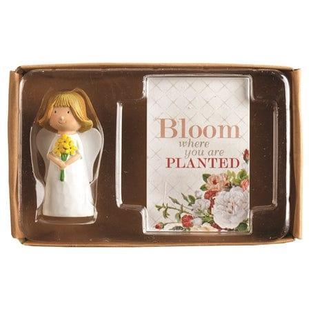 Itty Bitty Angel Gift Set - Bloom Where We Are Planted - Pura Vida Books