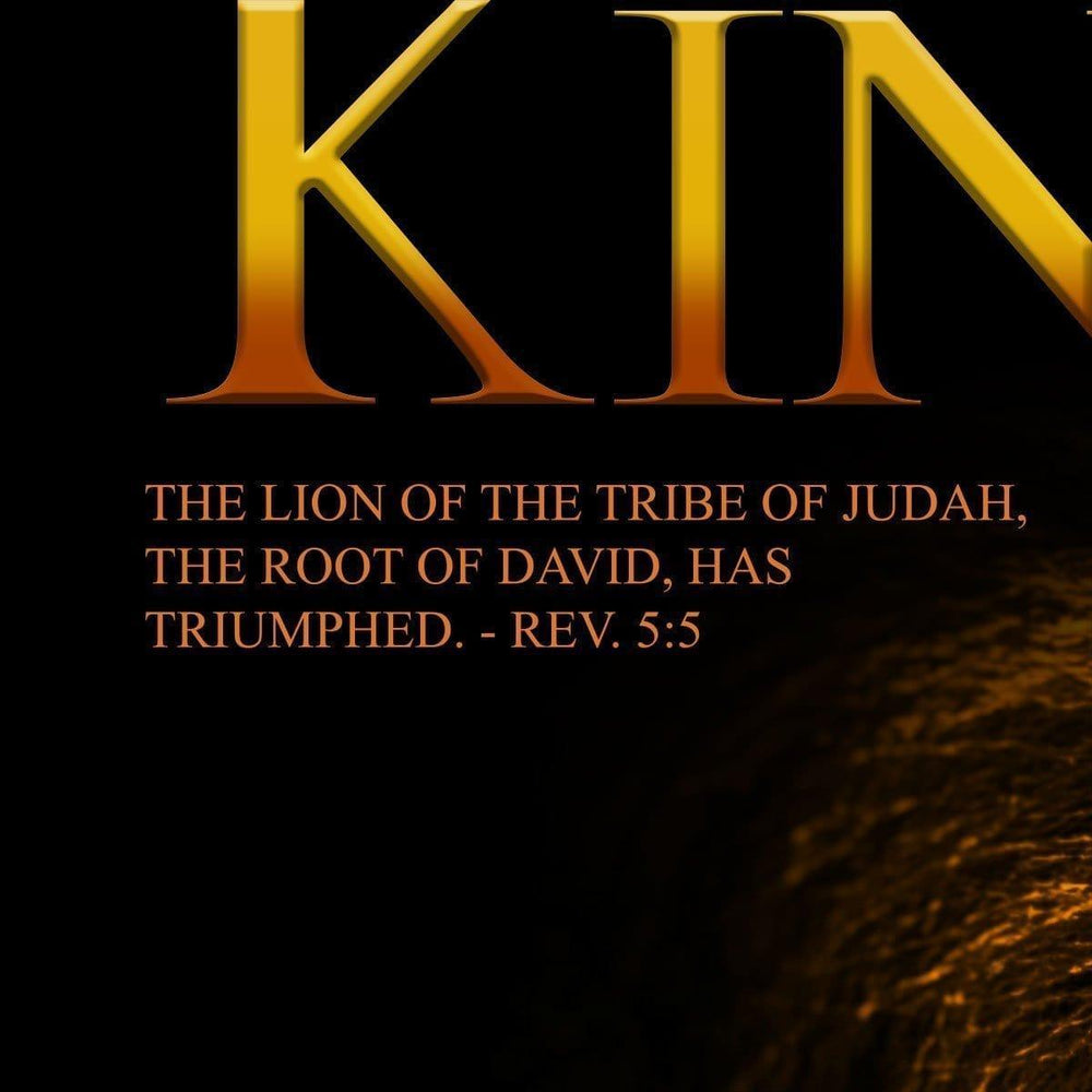 Kerusso Christian T-Shirt Lion of Judah - Pura Vida Books