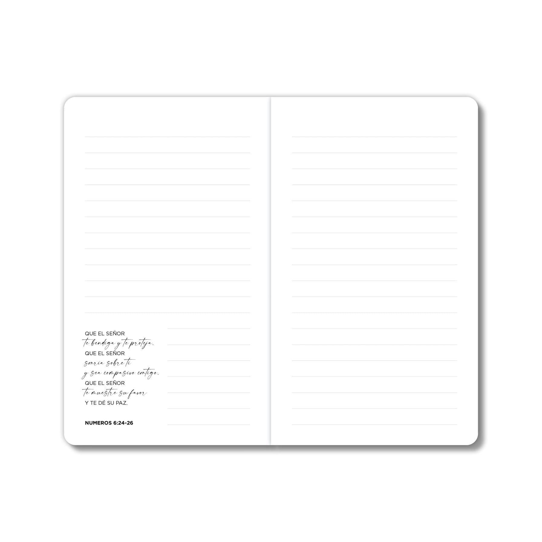 Libretas Amada, Bendecida, Valiosa (Paquete de 3) - Pura Vida Books
