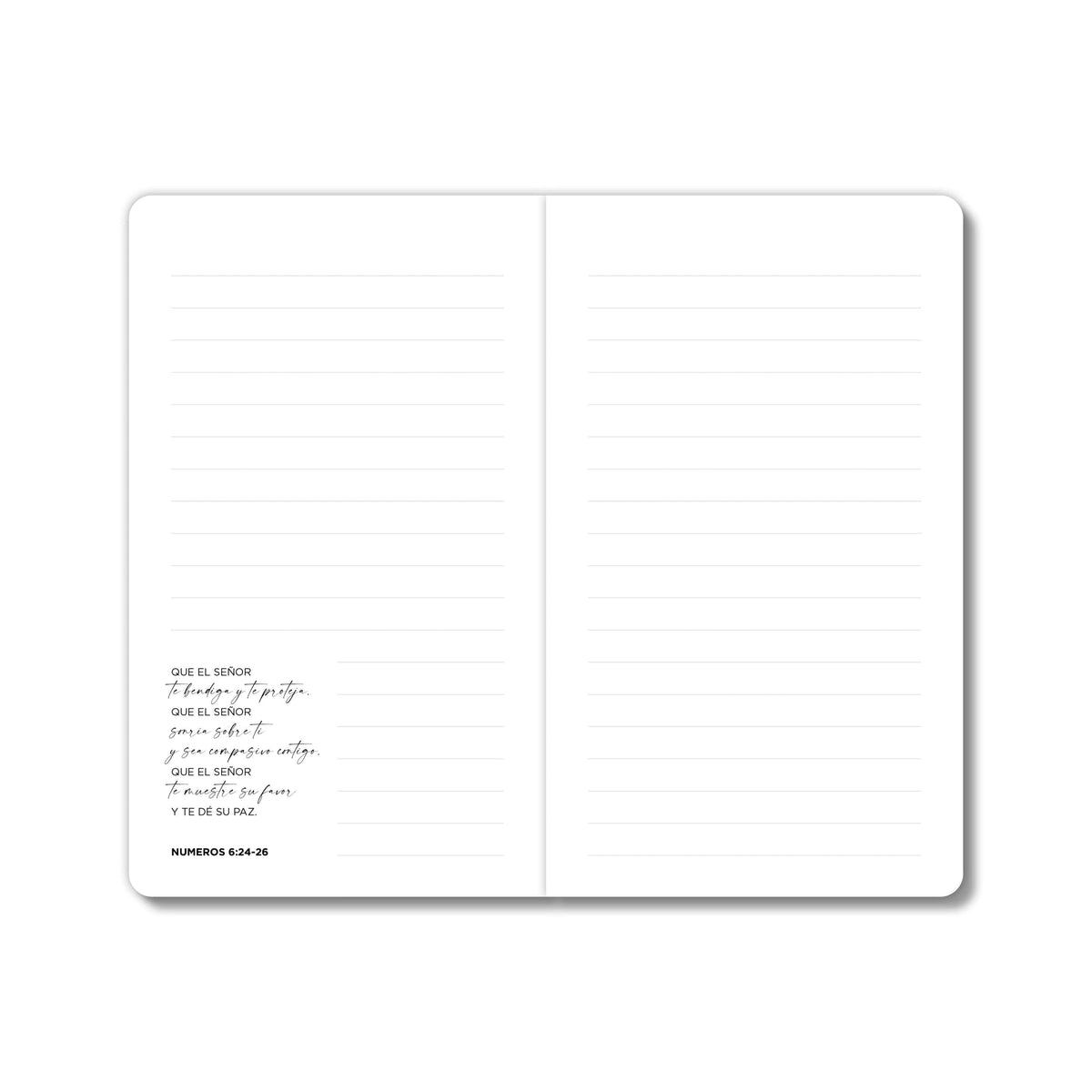 Libretas Amada, Bendecida, Valiosa (Paquete de 3) - Pura Vida Books