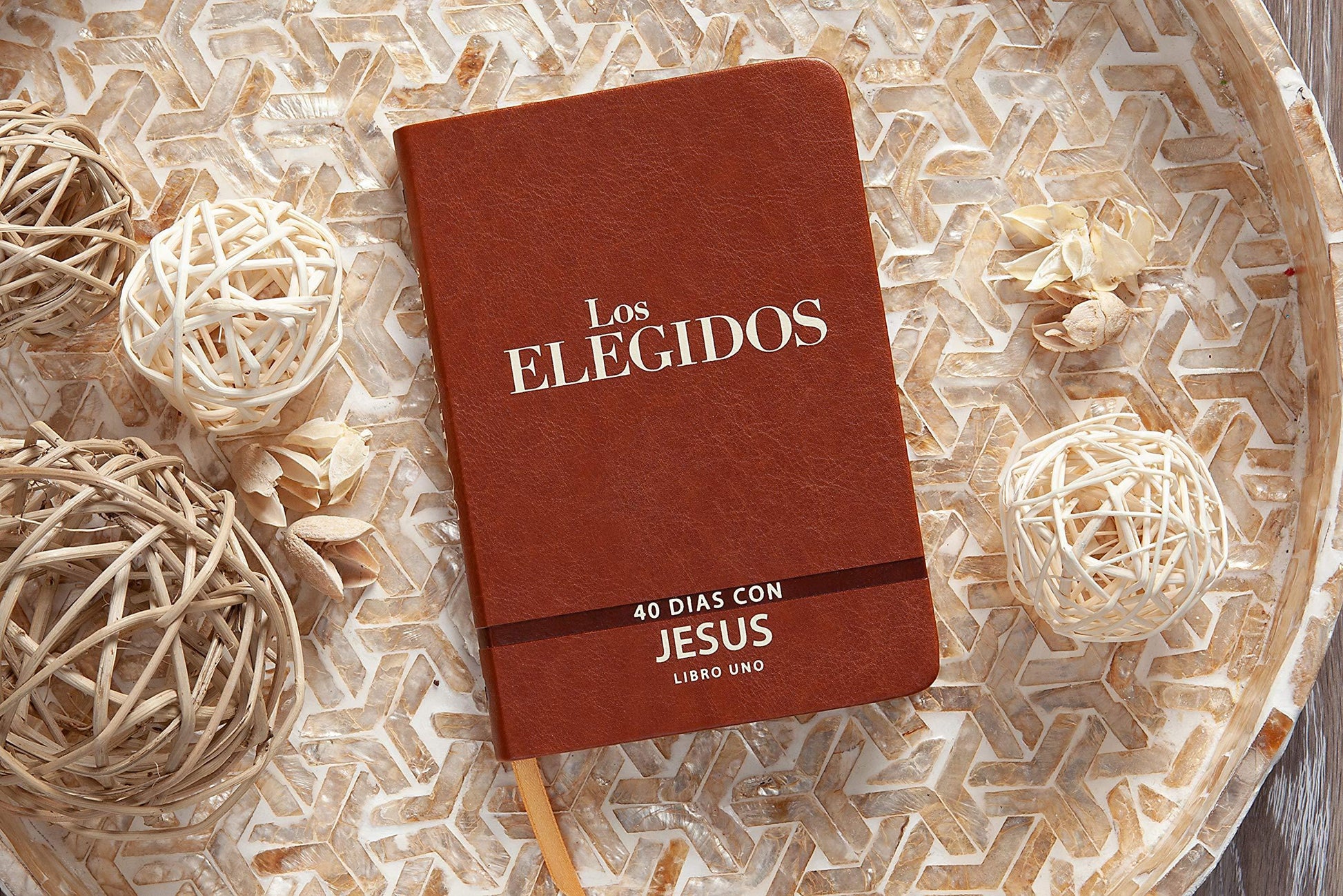 Los Elegidos - Libro Uno: 40 Días Con Jesús - Pura Vida Books