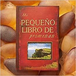 Mi pequeno libro de promesas - Pura Vida Books