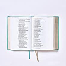 NBLA Biblia Ama a Dios Grandemente - Pura Vida Books