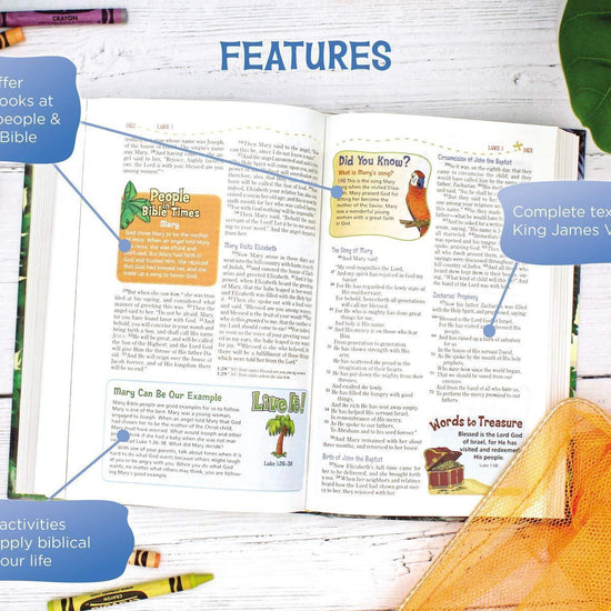 NKJV, Adventure Bible, Hardcover, Full Color - Pura Vida Books