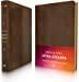 NVI Biblia Letra Gigante Marron, Piel Fabricada Imitation Leather - Pura Vida Books