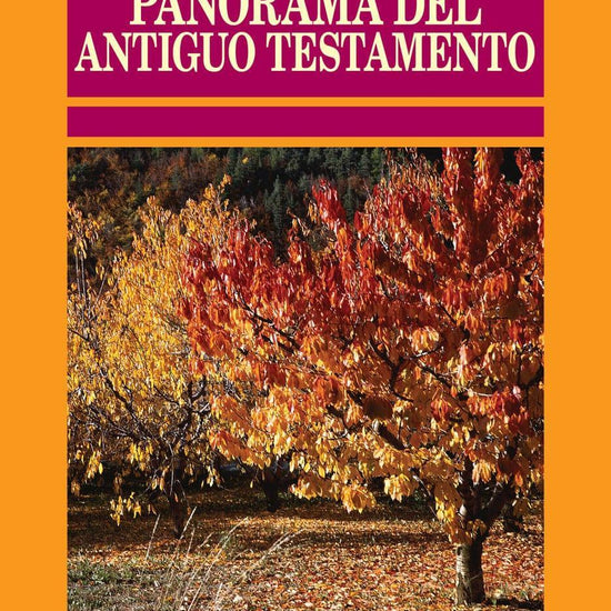 Panorama del Antiguo Testamento - Paul N. Benware - Pura Vida Books