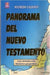 Panorama Del Nuevo Testamento (una introduccion historica-geografica) - Pura Vida Books
