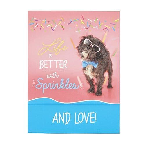 Pocket Notepad - Better With Sprinkles - Pura Vida Books