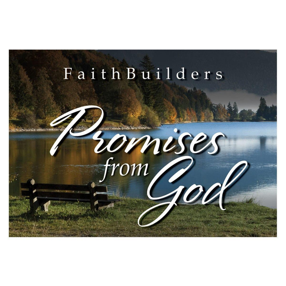 Promises from God Faithbuilders - Pura Vida Books