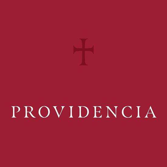 Providencia - John Piper - Pura Vida Books