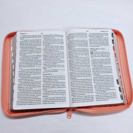 RV1960 Biblia Letra Grande Tamaño Manual Coral Con Referencias - Pura Vida Books