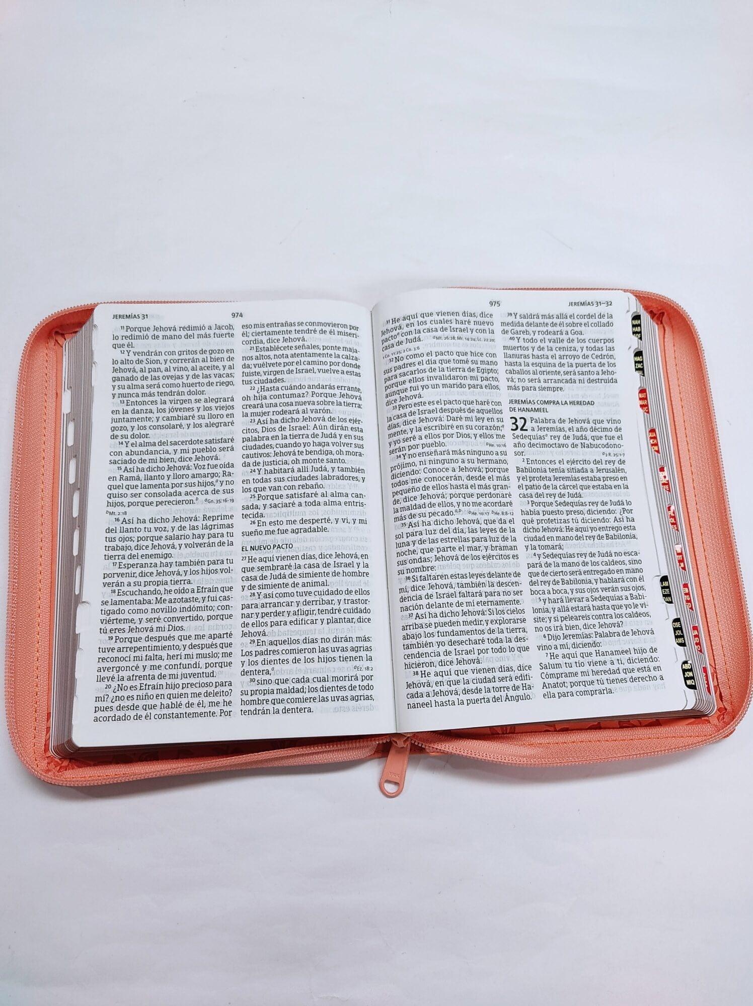 RV1960 Biblia Letra Grande Tamaño Manual Coral Con Referencias - Pura Vida Books