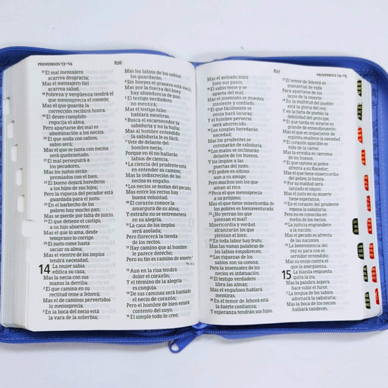 RV1960 Biblia Letra Grande Tamaño Manual Lila Con Referencias Zipper - Pura Vida Books