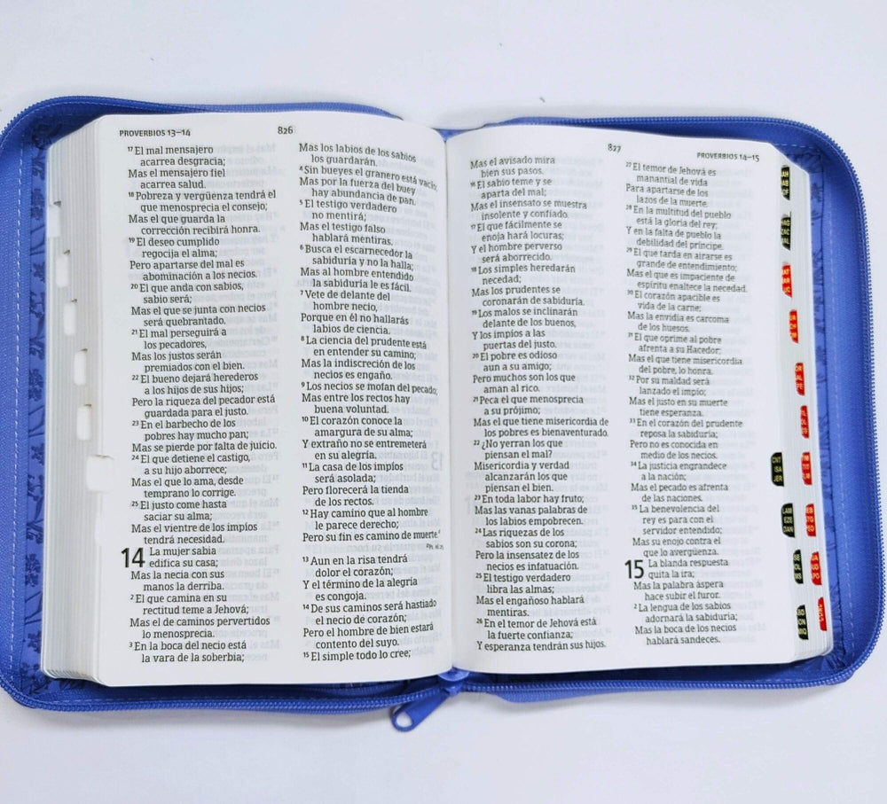 RV1960 Biblia Letra Grande Tamaño Manual Lila Con Referencias Zipper - Pura Vida Books