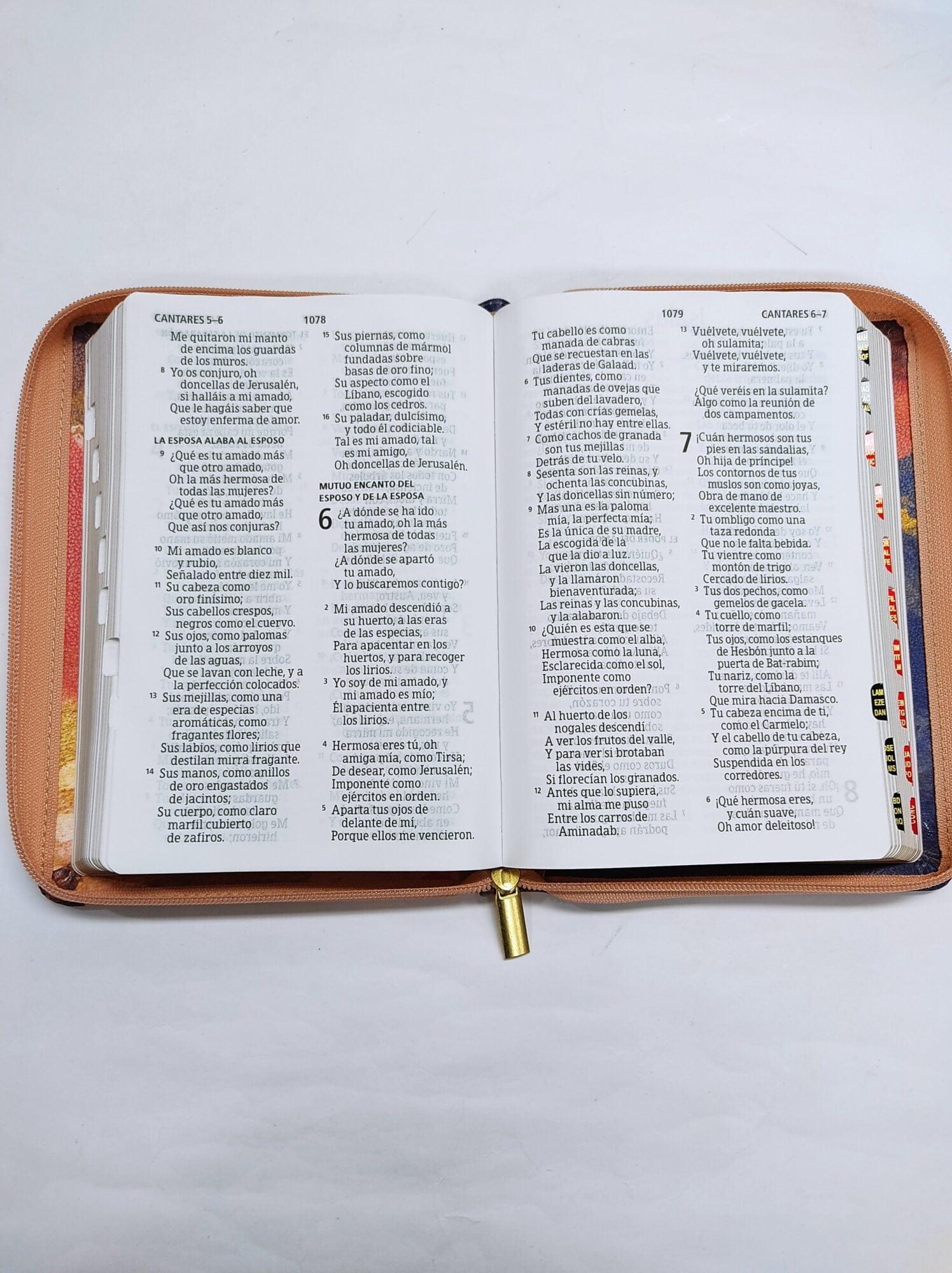 RV1960 Biblia Letra Grande Tamaño Manual Multicolor con Zipper - Pura Vida Books