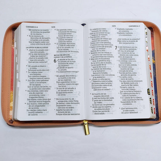 RV1960 Biblia Letra Grande Tamaño Manual Multicolor con Zipper - Pura Vida Books