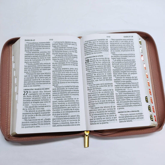 RV1960 Biblia Letra Grande Tamaño Manual Rosa con Indice Zipper - Pura Vida Books