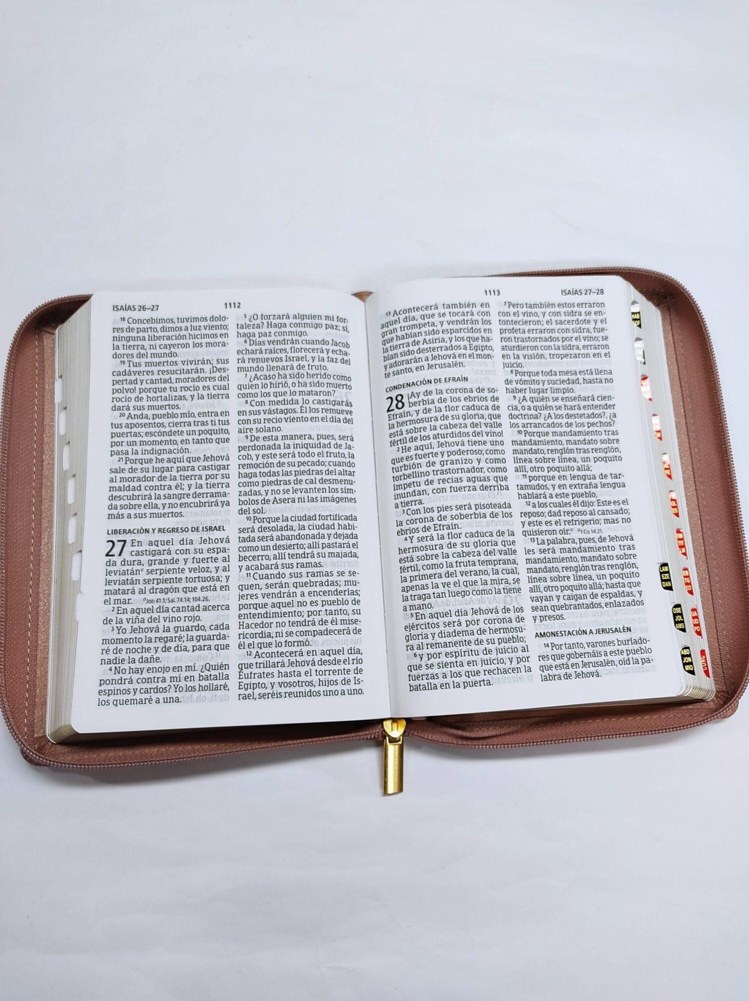 RV1960 Biblia Letra Grande Tamaño Manual Rosa con Indice Zipper - Pura Vida Books