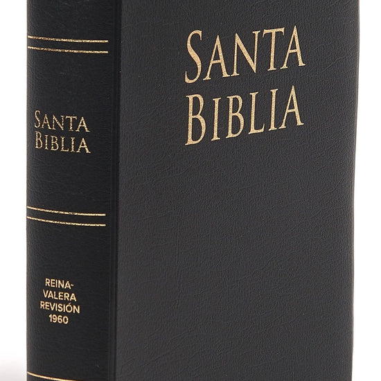 RV1960 Biblia Letra Grande Tamaño Manual Vinilo Negro - Pura Vida Books