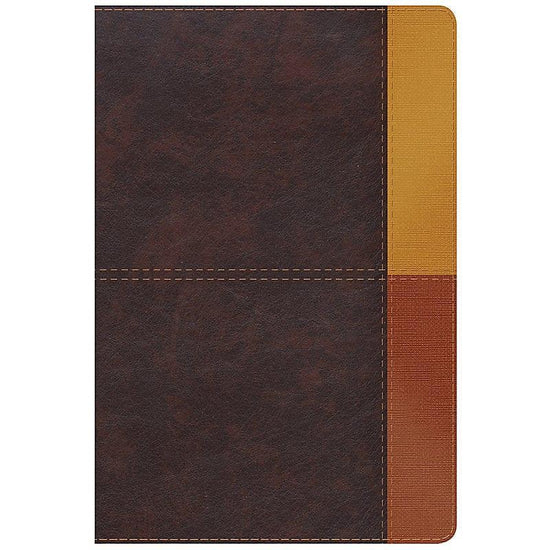 RVR 1960 Biblia de Estudio Arcoiris, cocoa/ terracota símil piel con índice - Pura Vida Books