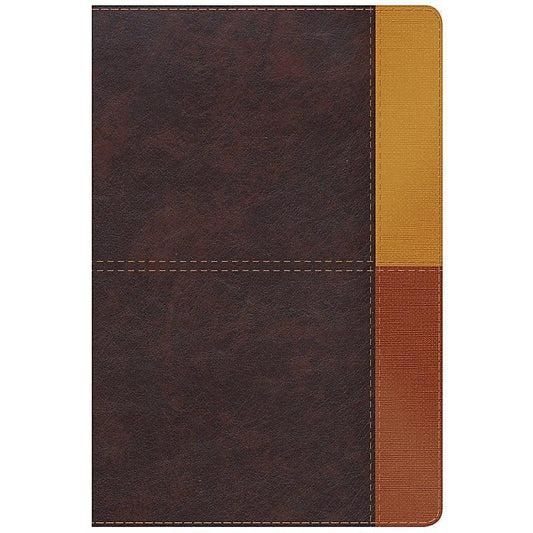 RVR 1960 Biblia de Estudio Arcoiris, cocoa/ terracota símil piel con índice - Pura Vida Books