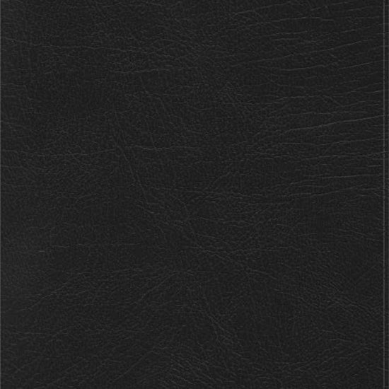 RVR 1960 Biblia de Estudio Arcoiris, negro símil piel - Pura Vida Books