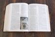 RVR 1960 Biblia de Estudio Holman, chocolate/terracota, símil piel con índice - Pura Vida Books