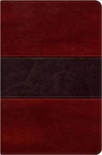 RVR 1960 Biblia del Pescador, caoba símil piel de lujo: Evangelismo Discipulado Ministerio - Pura Vida Books
