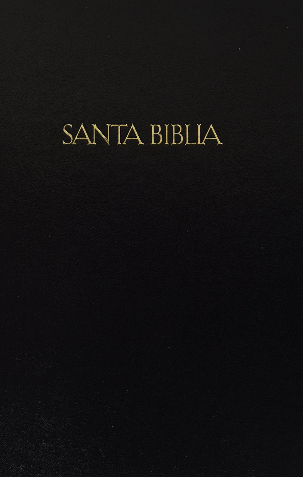 RVR 1960/KJV Biblia Bilingüe Letra Grande, negro tapa dura - Pura Vida Books