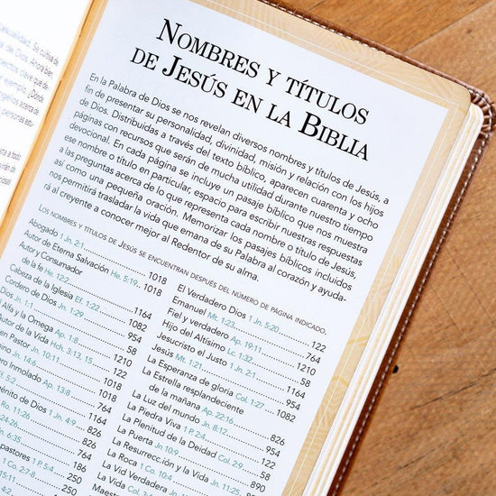 Santa Biblia de Promesas RVR-1960, Jesús para todos - Pura Vida Books