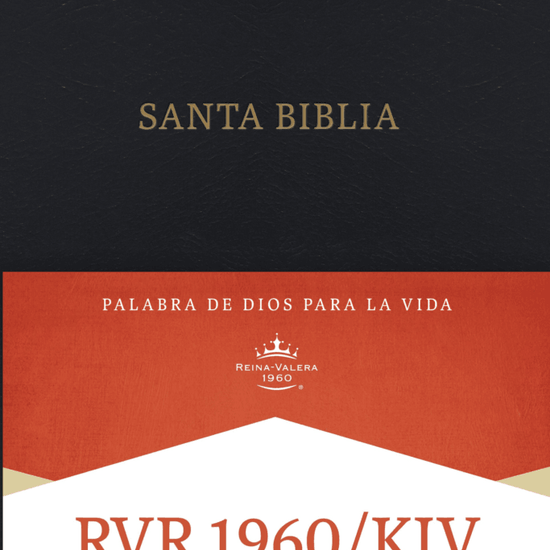 Santa Biblia: Holy Bible - Pura Vida Books