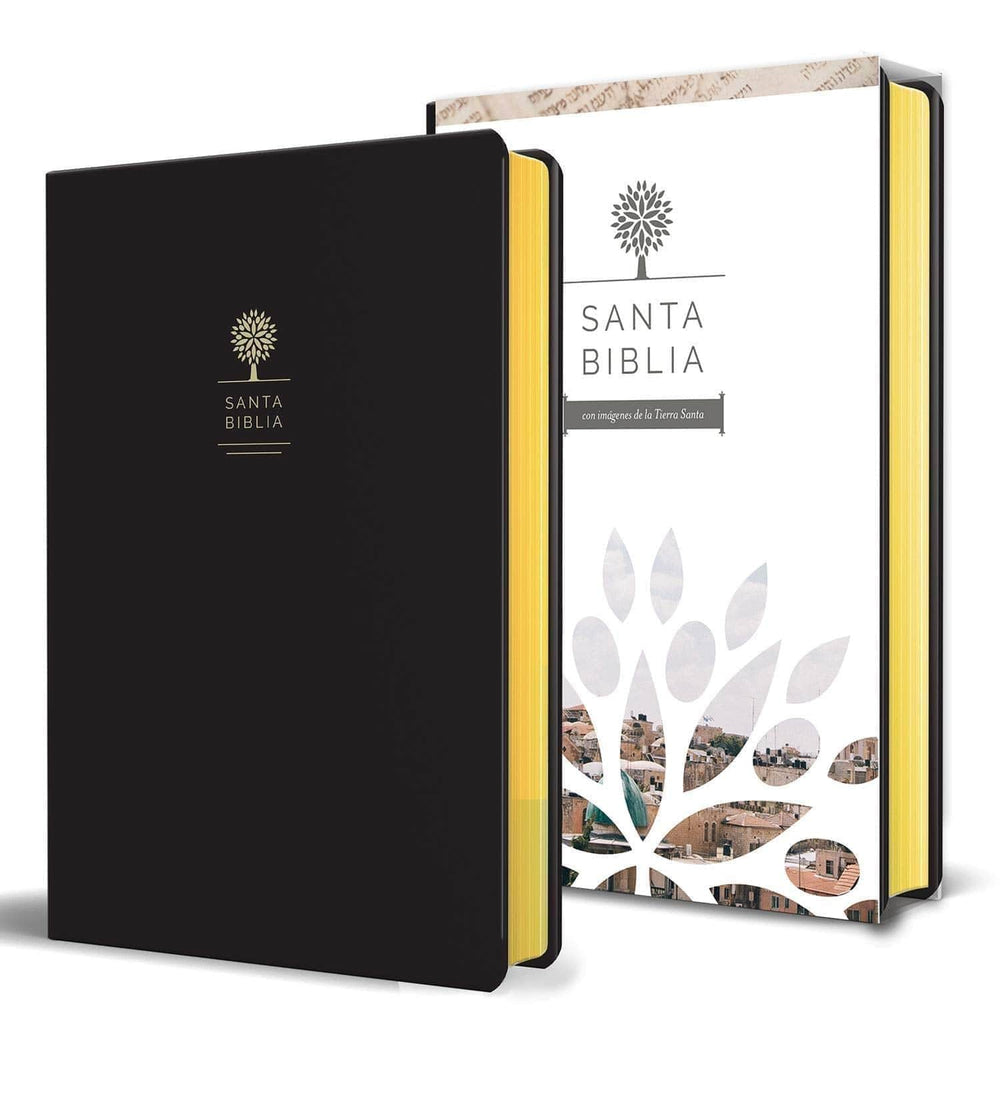 Santa Biblia Letra grande, símil piel, negra fotos de Tierra Santa RVR 1960. - Pura Vida Books