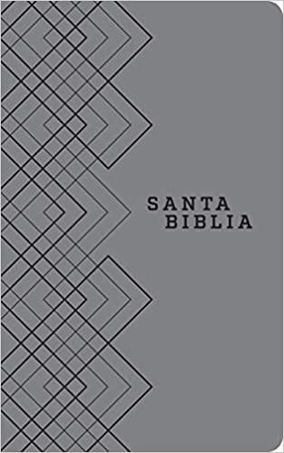 Santa Biblia NTV, Edición ágape (SentiPiel, Gris) - Pura Vida Books