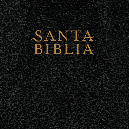 Santa Biblia NTV, Edición súper gigante - Pura Vida Books