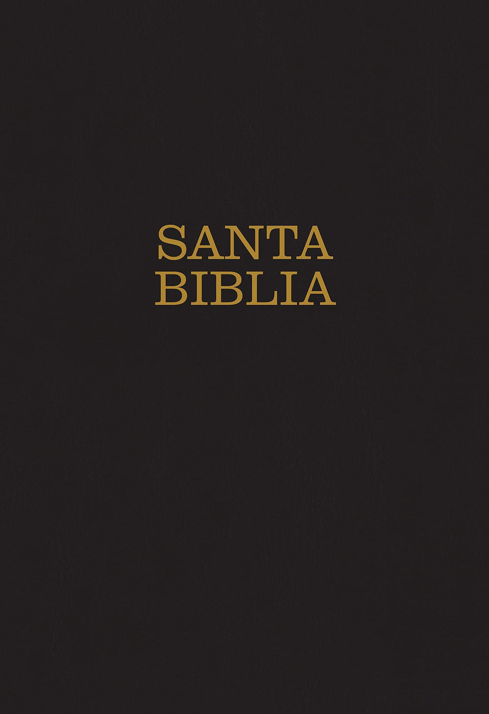 Santa Biblia NTV, letra súper gigante negra - Pura Vida Books