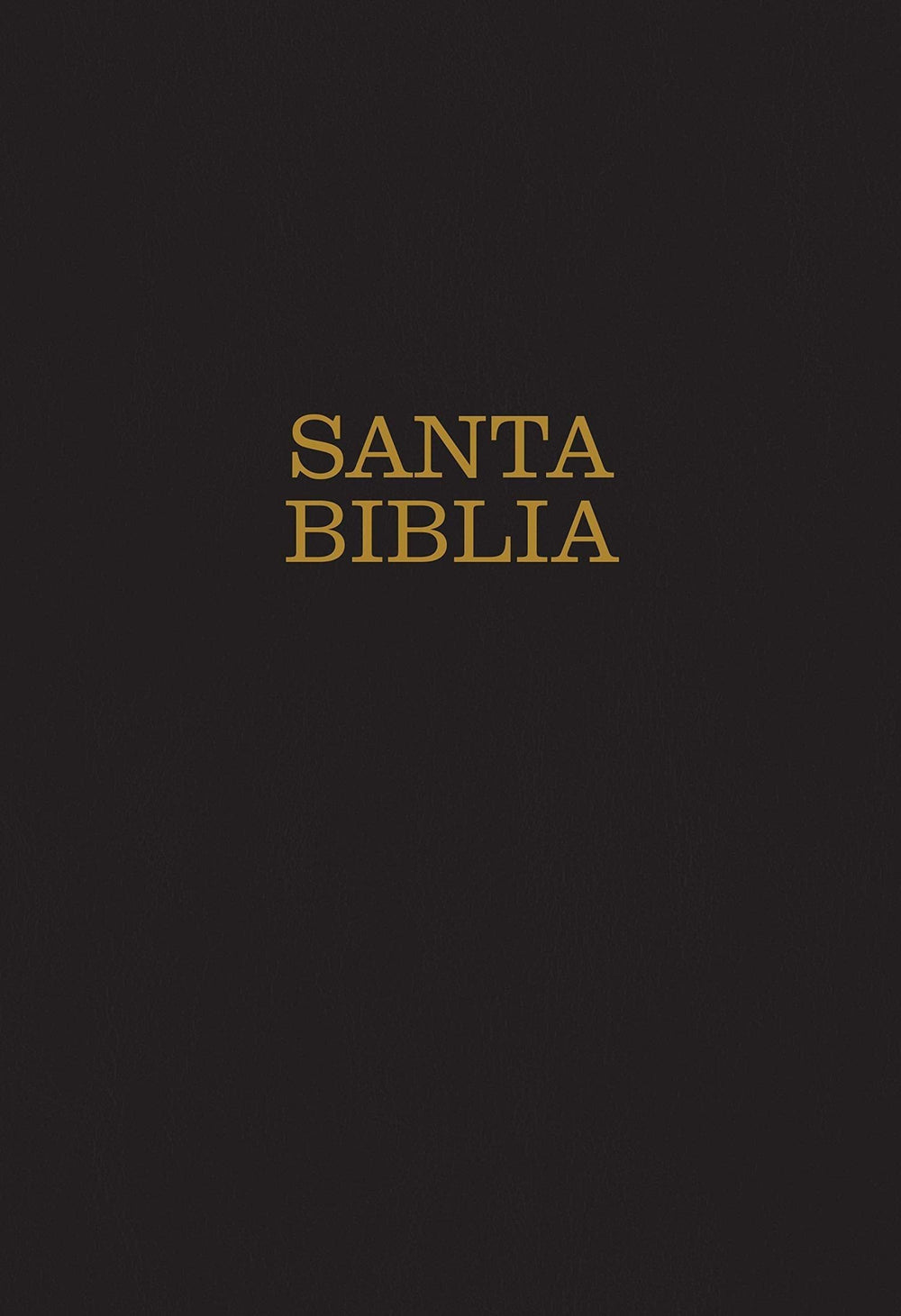 Santa Biblia NTV Letra Súper Gigante - Pura Vida Books