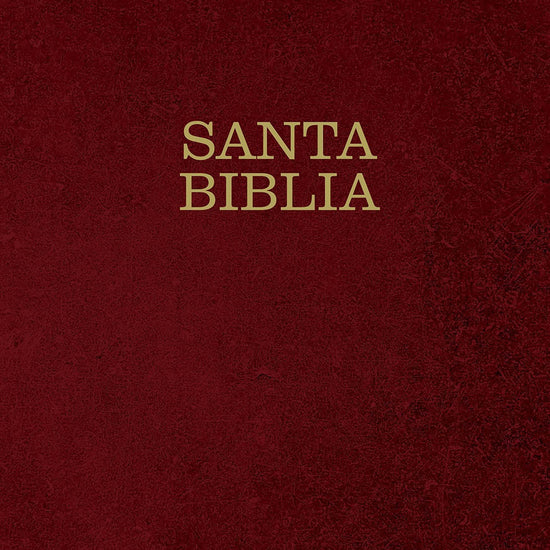 Santa Biblia NTV, letra súper gigante (Tapa dura/ Vino tinto) con índice - Pura Vida Books