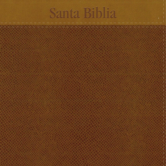 Santa Biblia NVI, Letra Grande, Leathersoft - Pura Vida Books