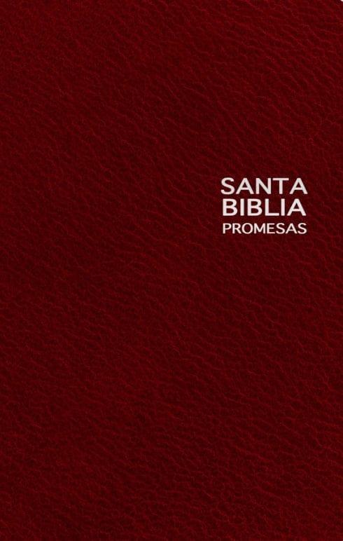 Santa Biblia Promesas- Edicion de regalo - Pura Vida Books