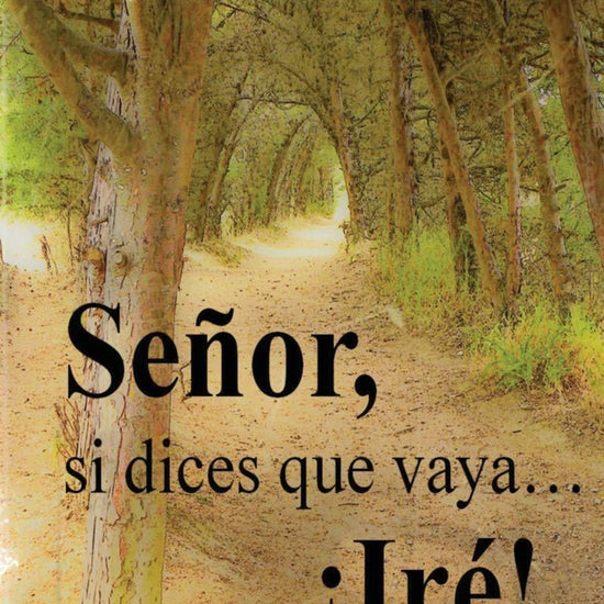 Señor, si dices que vaya... ¡Ire! - Betzaida Irizarry - Pura Vida Books