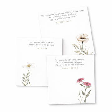Sticky Notes | Notas de Amor