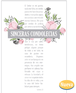 Tarjeta elegante mediana - Pura Vida Books