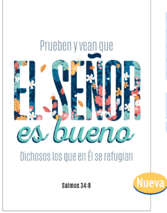 Tarjeta mediana - Pura Vida Books