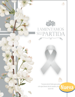 Tarjeta mediana - Pura Vida Books